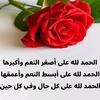 zozoahmed9372