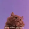 quotes_lifelong