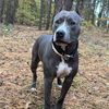 tretamstaff