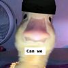 join_the_duck_army5