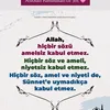 yolum.cihat.yolu
