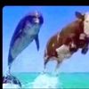 bluewater_man