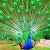 user8120940085261