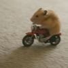 wekek9