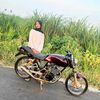 lyacans39
