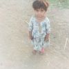 imranaliqazi23gmail.com0