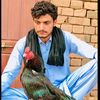 safikhanchidruu
