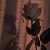 itz_zainab.05