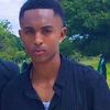 kbp_panther
