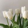 khusnah590