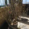thainguyen8093