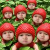 napxsxkorn.prxng