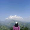 byszzx_