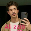 alizaib08486