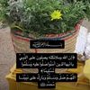 abdulazizalqahtan40