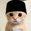 hen_boww