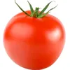 tomatnk0