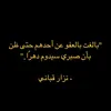 ammar.aleediny