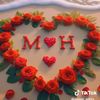 mohammadhanif766