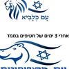 eilat.siman