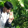 hoangtinh.nhai