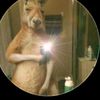 martin_1561