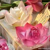 mt_bo1811