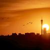 sunshine_in_jozi