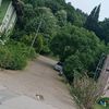 fiilizz_65