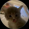 lizok_964