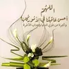 fatimamohamad5251