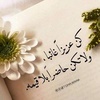 shahendah._mohammed