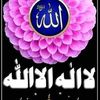 user8178696305425