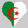 user999343037