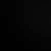leohall13