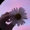 lucy_r_3_