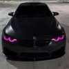 dani_rm_7