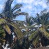 isatounjiesaidy.ch
