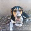 tiznbello