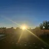 ysysmomiamooor