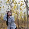 nhi.nhe.253