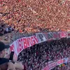 nicoviana_34