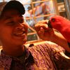 adhityaprasetyo2
