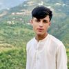 6habibullah