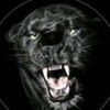 sekou_15