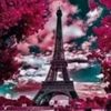 user2709837907717