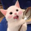ilayriegrow_2501