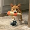 pepper_the_c0rgi