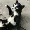 kiniri_88