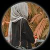 zainshaihk